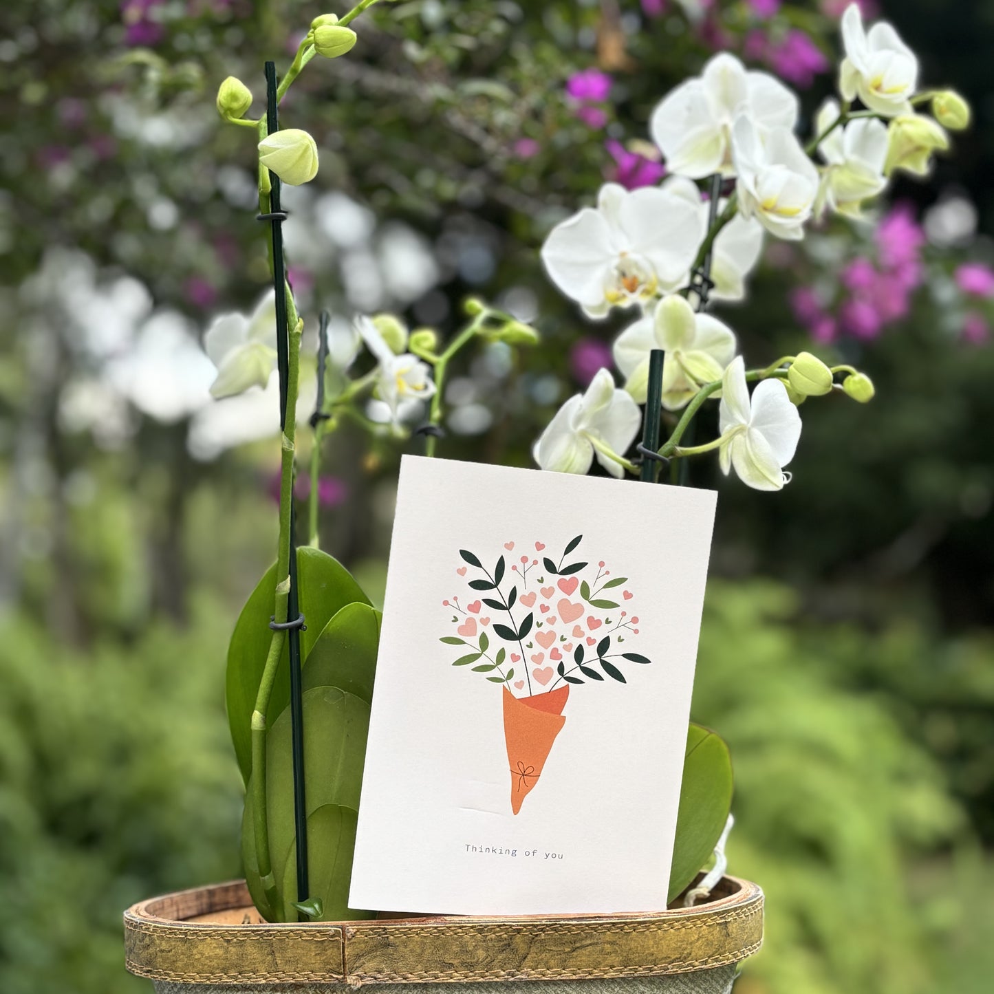 outdoor photo of a thinking of you greeting card with flowers in the background