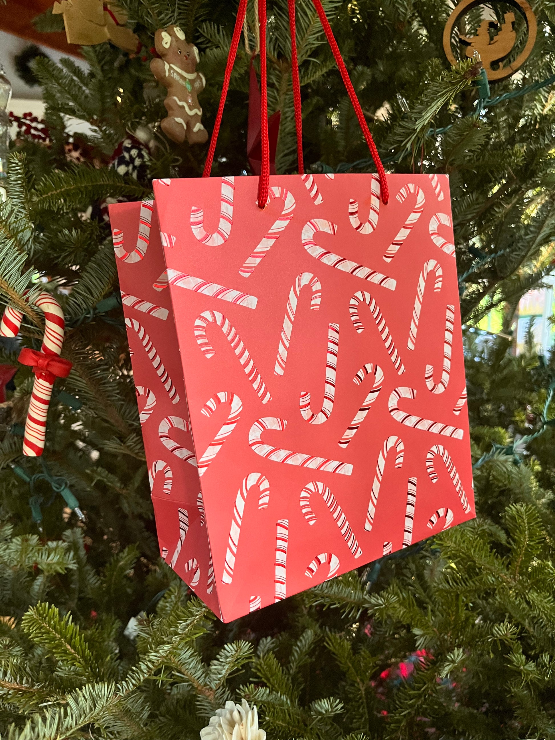 Image of a red candy cane gift bag on a Christmas tree