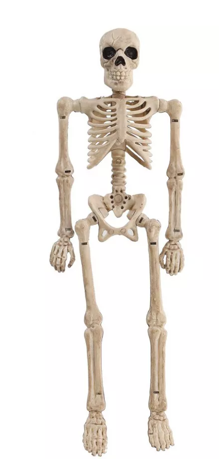 Image of a miniature plastic skeleton