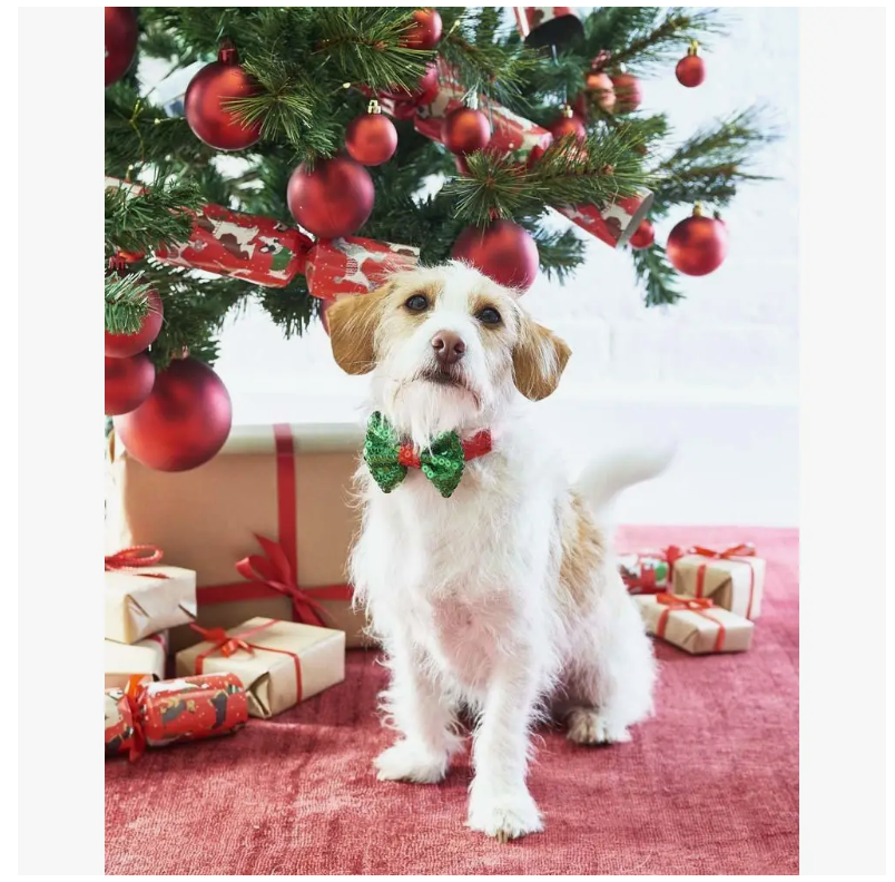 Talking Tables - Christmas Dog Bow Tie