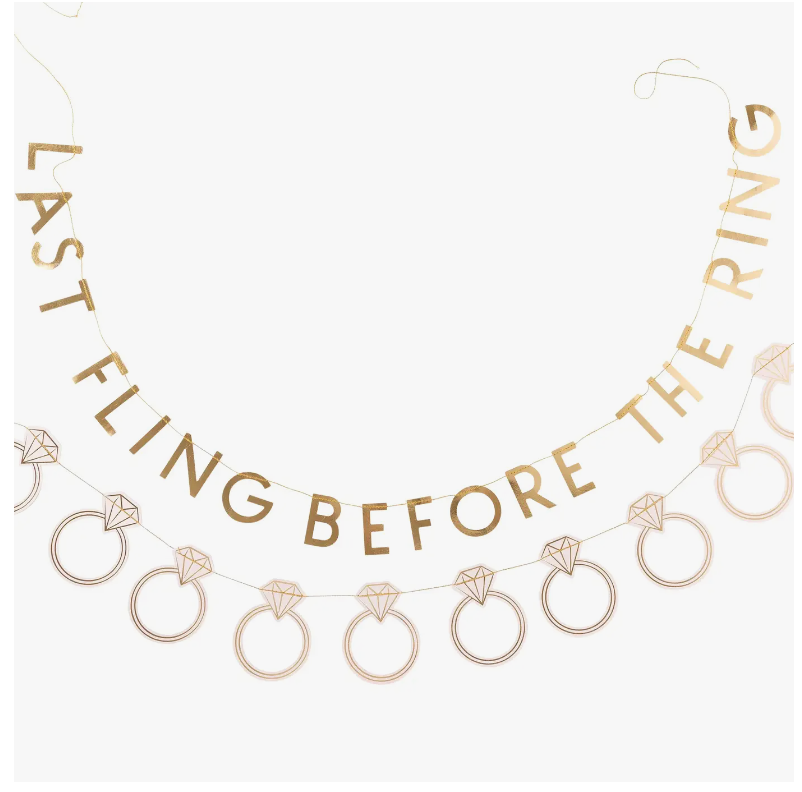 My Mind’s Eye - "LAST FLING" Banner